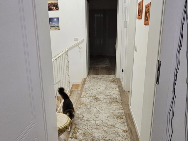 Casa 3 camere - Valea Lupului