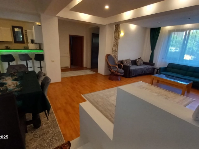 Casa 9 camere - Tatarasi