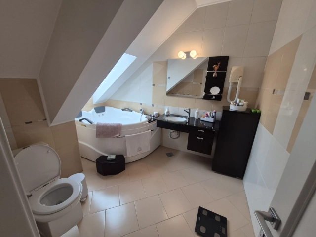 Casa 5 camere - Bucium