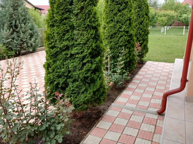 Casa 5 camere - Valea Adanca