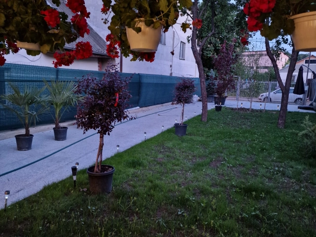 Casa 3 camere - Frumoasa