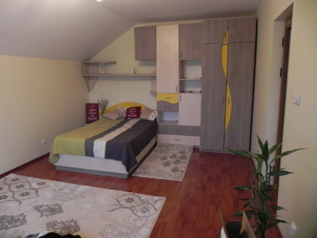 Casa 4 camere - Pacurari