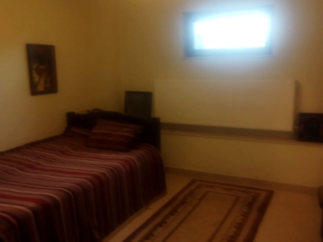 Casa 9 camere - Bucium