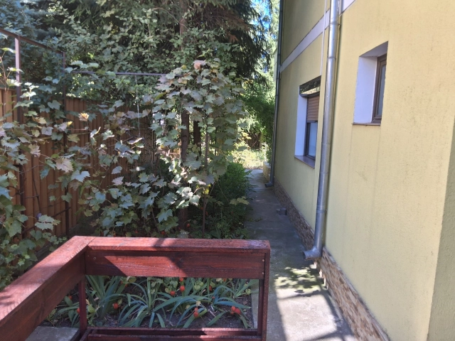 Casa 4 camere - Popas Pacurari