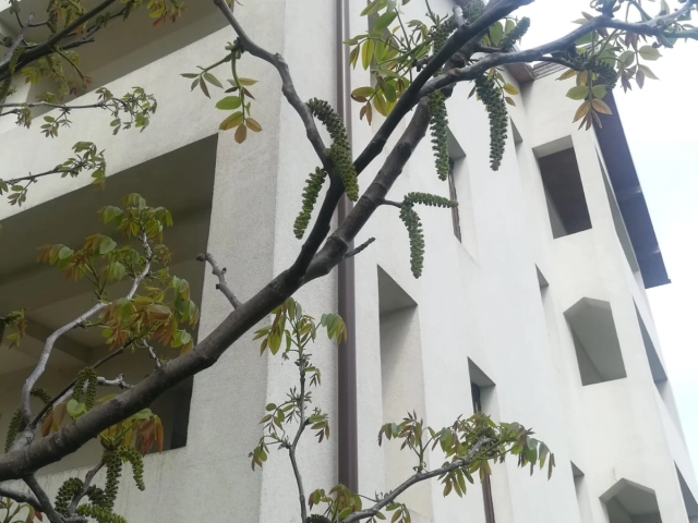 Casa 9 camere - Valea Lupului