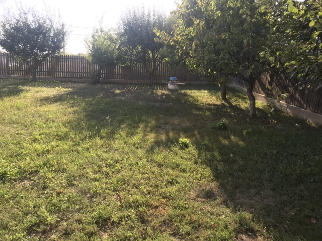 Casa 4 camere - Popas Pacurari