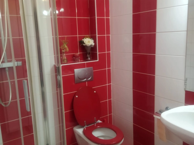 Casa 5 camere - Tatarasi