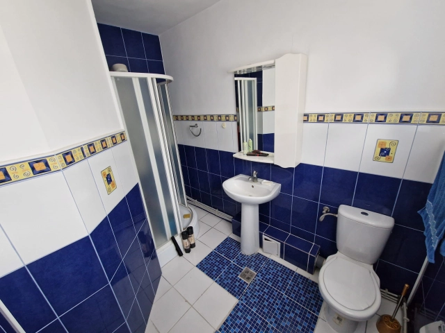Casa 4 camere - Bucium