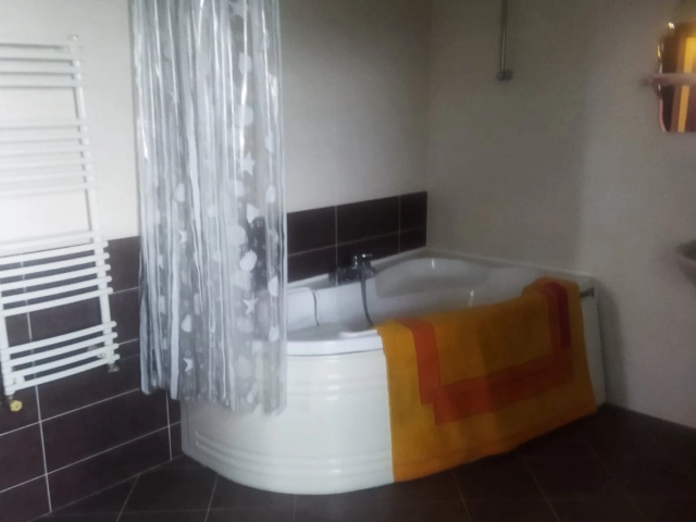 Casa 9 camere - Bucium