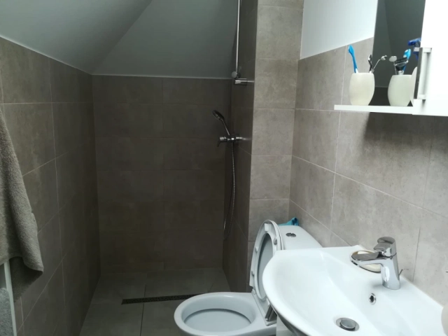 Casa 6 camere - Valea Lupului