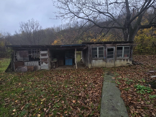 Casa 3 camere - Tomesti