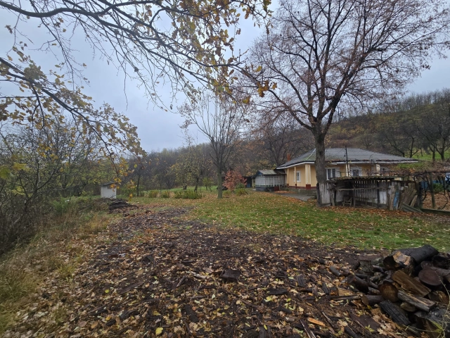 Casa 3 camere - Tomesti