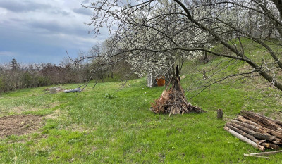 Casa de vanzare,  3 camere, 7124mp, Holboca,  (Osoi) Iasi 158260