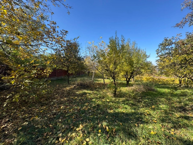 Casa 3 camere - Bucium