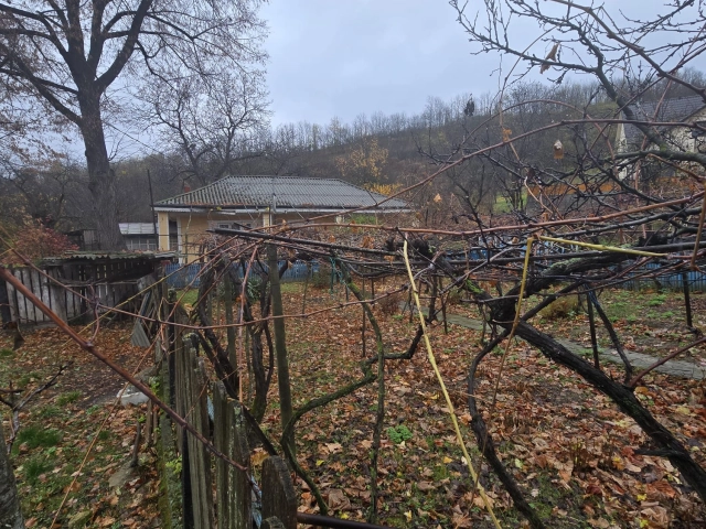Casa 3 camere - Tomesti