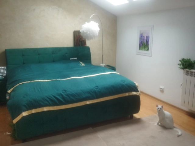 Casa 9 camere - Bucium