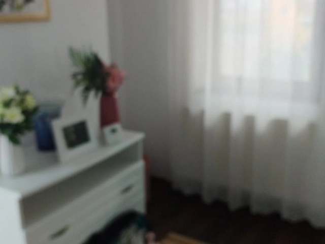 Casa 5 camere - Valea Adanca